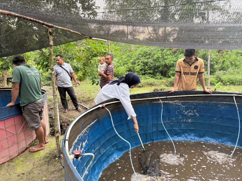 Kolaborasi dengan Pemuda, PLN NP UP Tenayan  Laksanakan Program Pemberdayaan Budidaya Ikan Sistem Bioflok